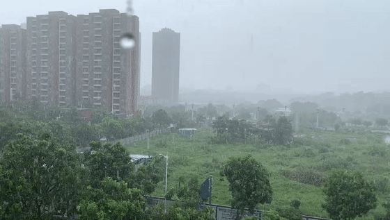 茶山2[00-00-00--00-00-07].gif