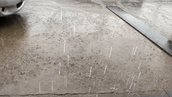 中堂2[00-00-00--00-00-06].gif