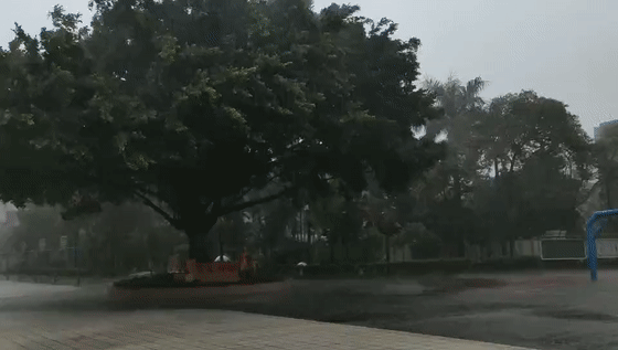 2[00-00-00--00-00-13].gif