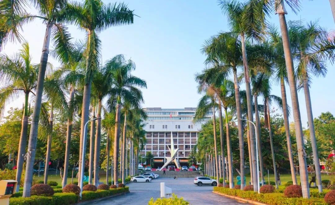 1594694264705894.jpg 1.jpg