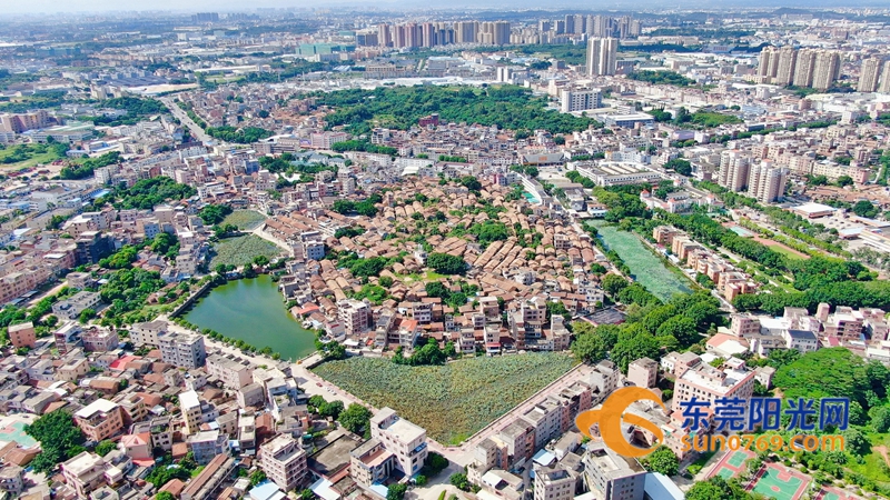 1600996462131613.jpg 1.jpg