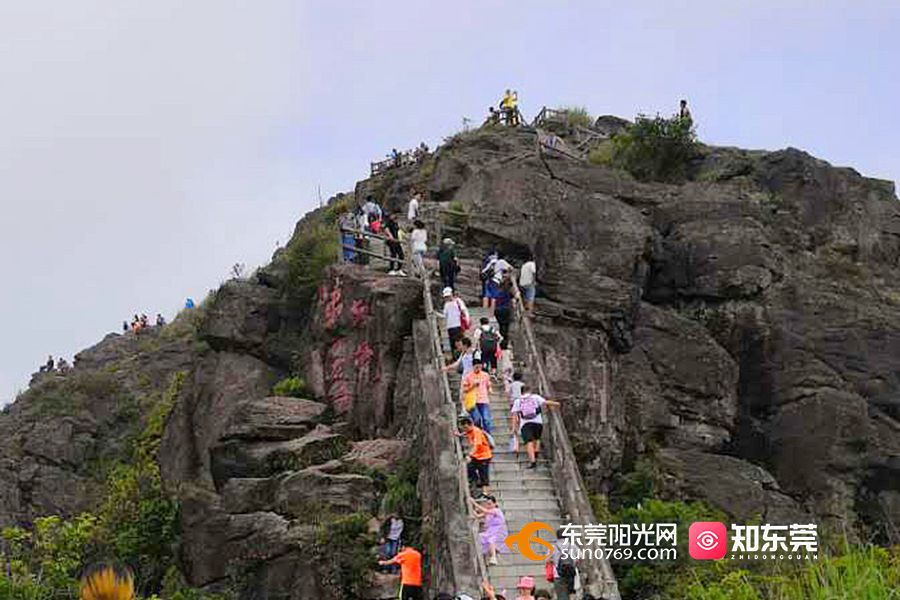 3天迎客66万人次银瓶山谢岗景区清明假期人气火爆