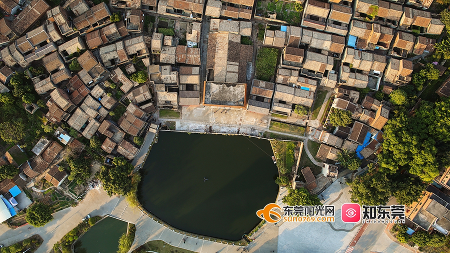 1621393843329229.jpg 002.jpg