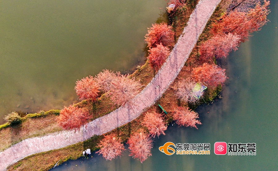 1621394084507046.jpg 001.jpg