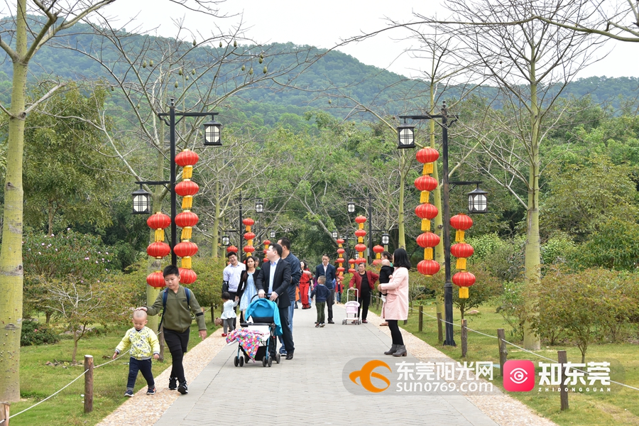 1621394451151838.jpg DSC_6494.JPG