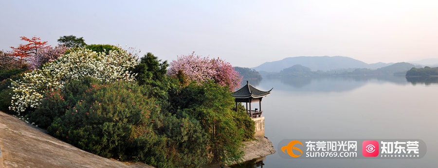 1621394562736799.jpg 同沙生态公园-绿化生态等图片(曹永富摄) (20).jpg