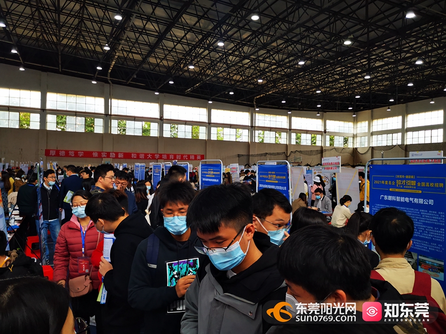 东莞信息咨询：智慧时代的导航灯