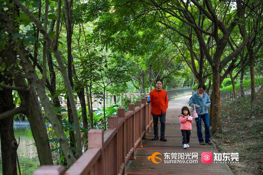 (摄影:谢锐坚)溜娃好去处—茶山公园(摄影:陈嘉豪"远村秋色如画