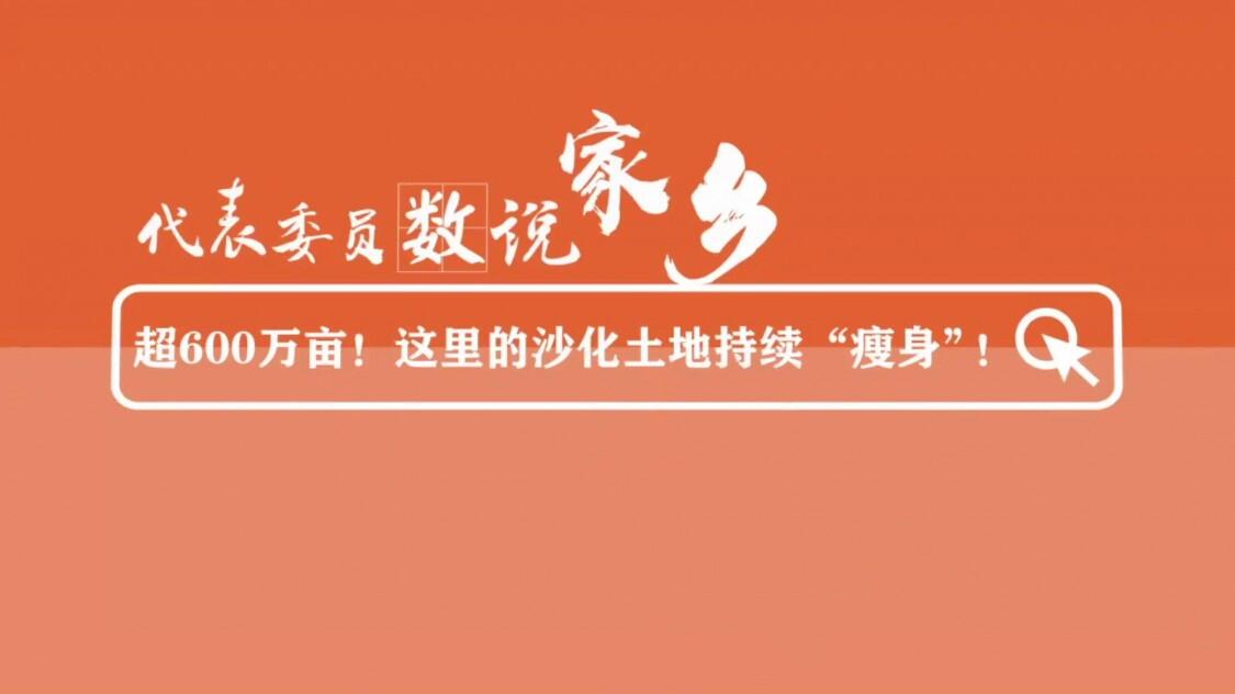 代表委员数说家乡丨超600万亩这里的沙化土地持续瘦身