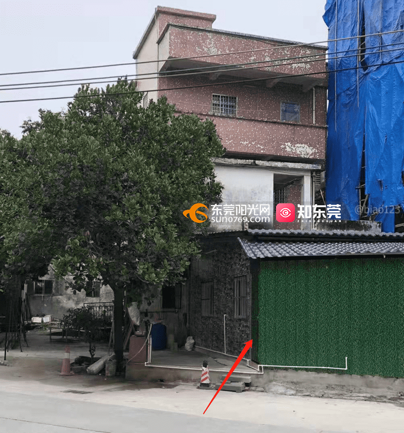 三涌村霸违建无人敢管-阳光热线问政平台