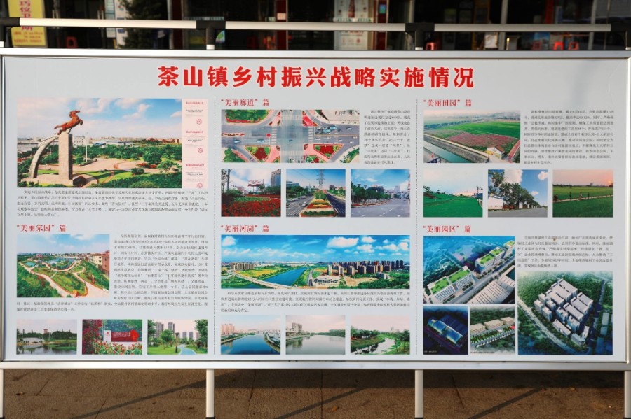 东莞市农业农村局一行到茶山镇调研特色精品村创建工作