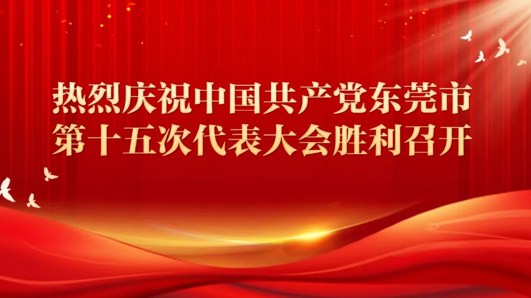 聚焦市党代会中堂镇立足新起点谋划新发展