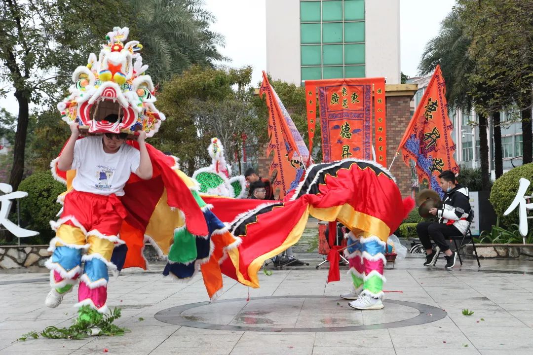 麒凤呈祥舞新春道滘举办传统麒麟引凤表演贺新春