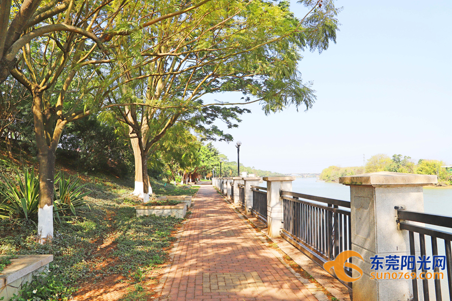 搞搞新意思石碣镇摆擂台两条村硬核pk你选哪个