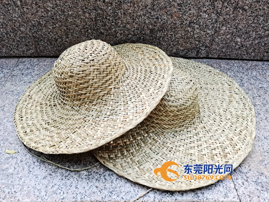 是用植物界的"活化石"编织的