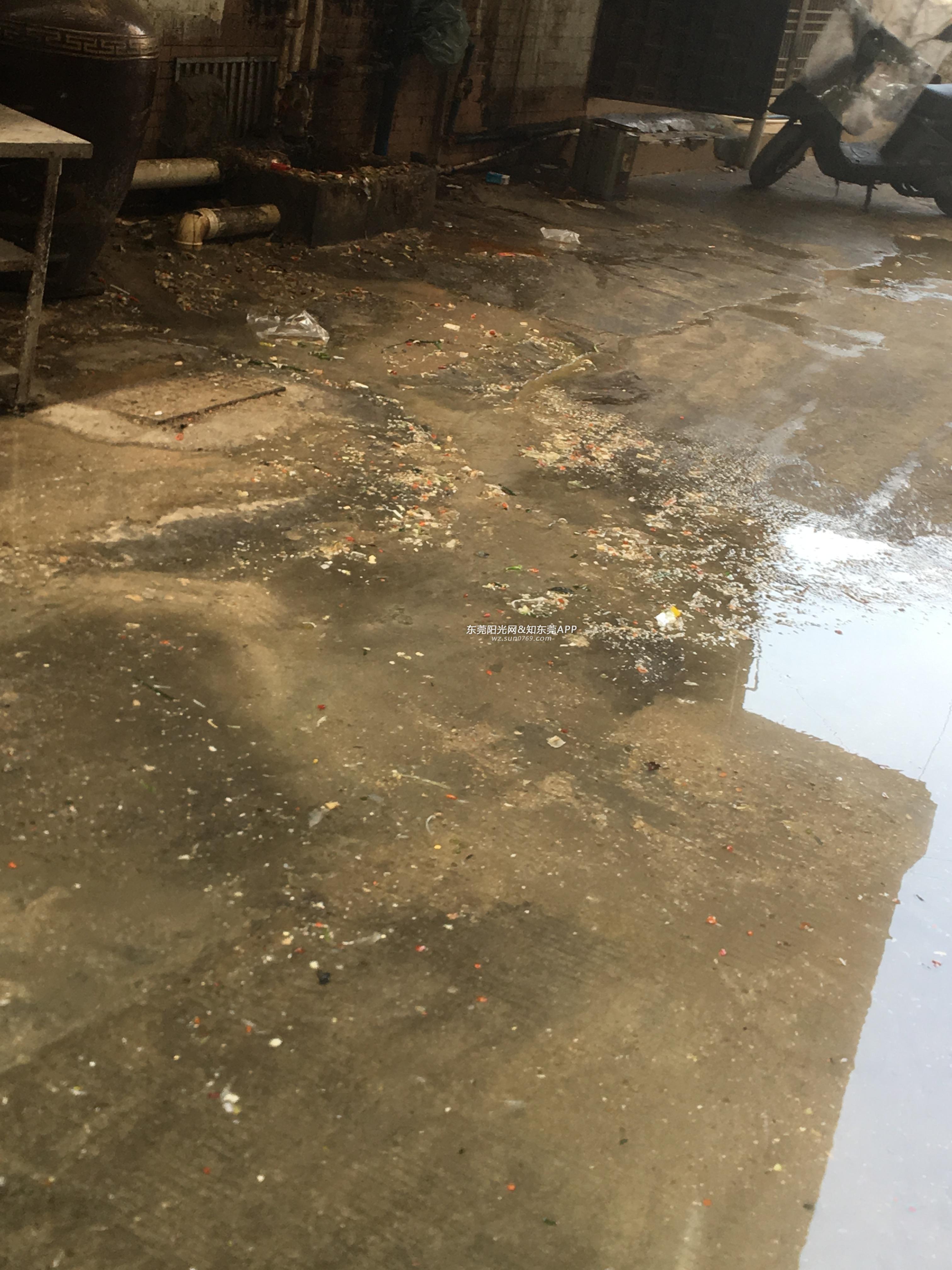 厨房污水随地乱排放已经一个月了无人管.-阳光热线问政平台