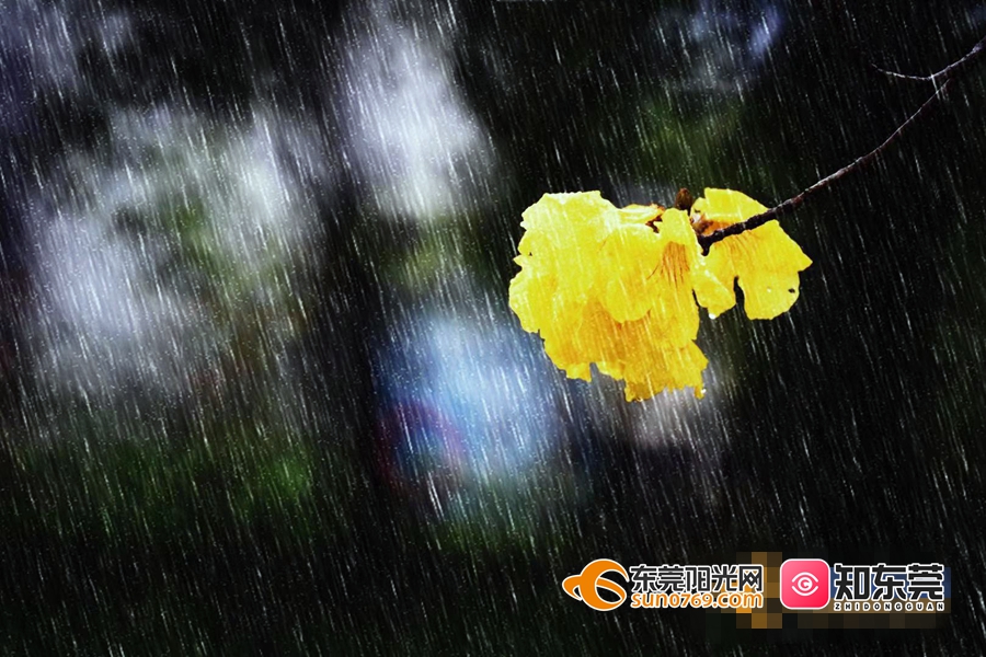 雨水节气标示着降雨开始,俗话说"春雨贵如油",适宜的降水对农作物的