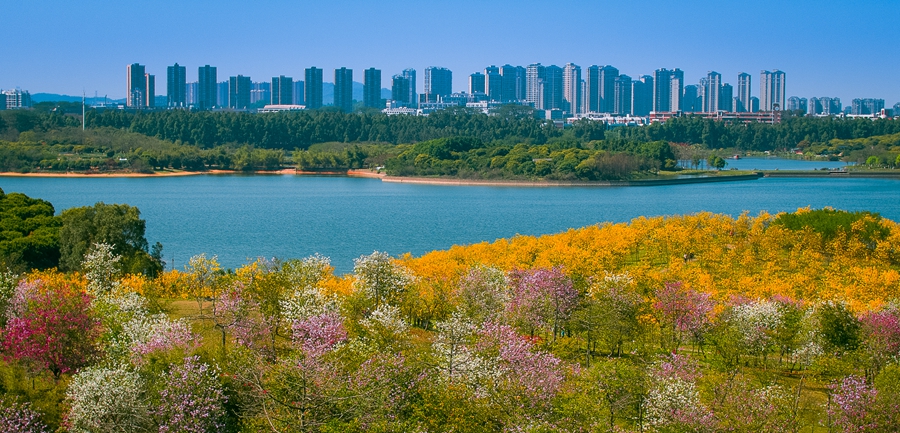 【视频】3月10日上午11点,邀您一起云游松山湖,解码高质量发展!