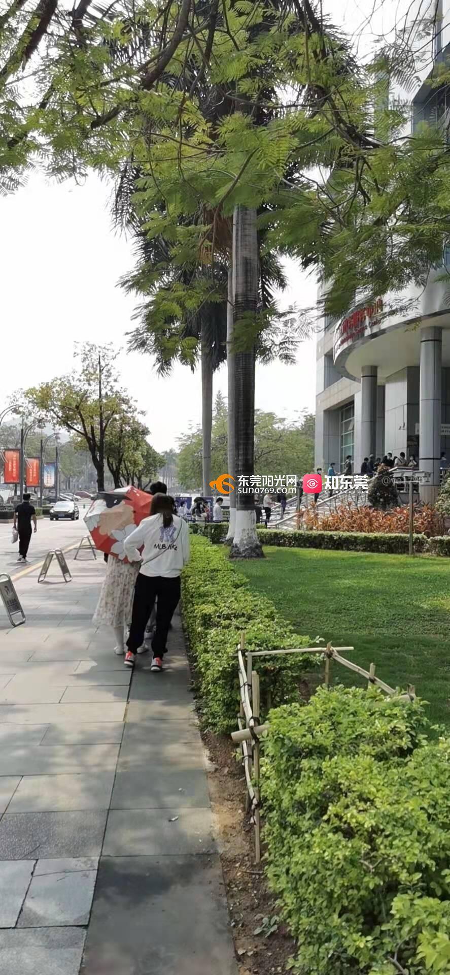 加拿大移民服务中介_移民加拿大中介费_中介移民加拿大服务费多少