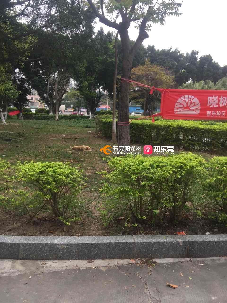 株洲发展新篇章：聚焦芦淞电伤人的商业前景