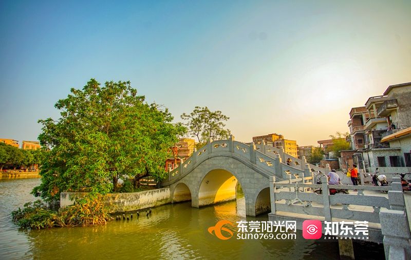 梦里水乡道滘人的母亲河美颜回来了