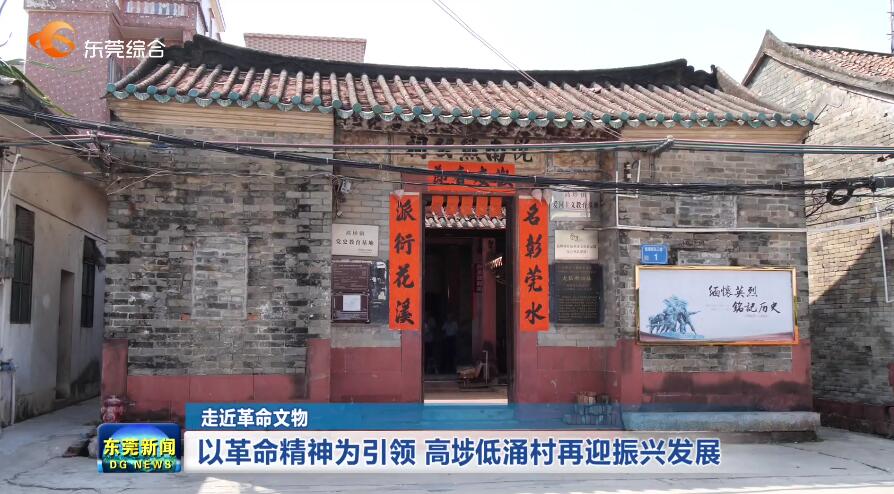 视频学党史悟思想办实事开新局以革命精神为引领高埗低涌村再迎振兴