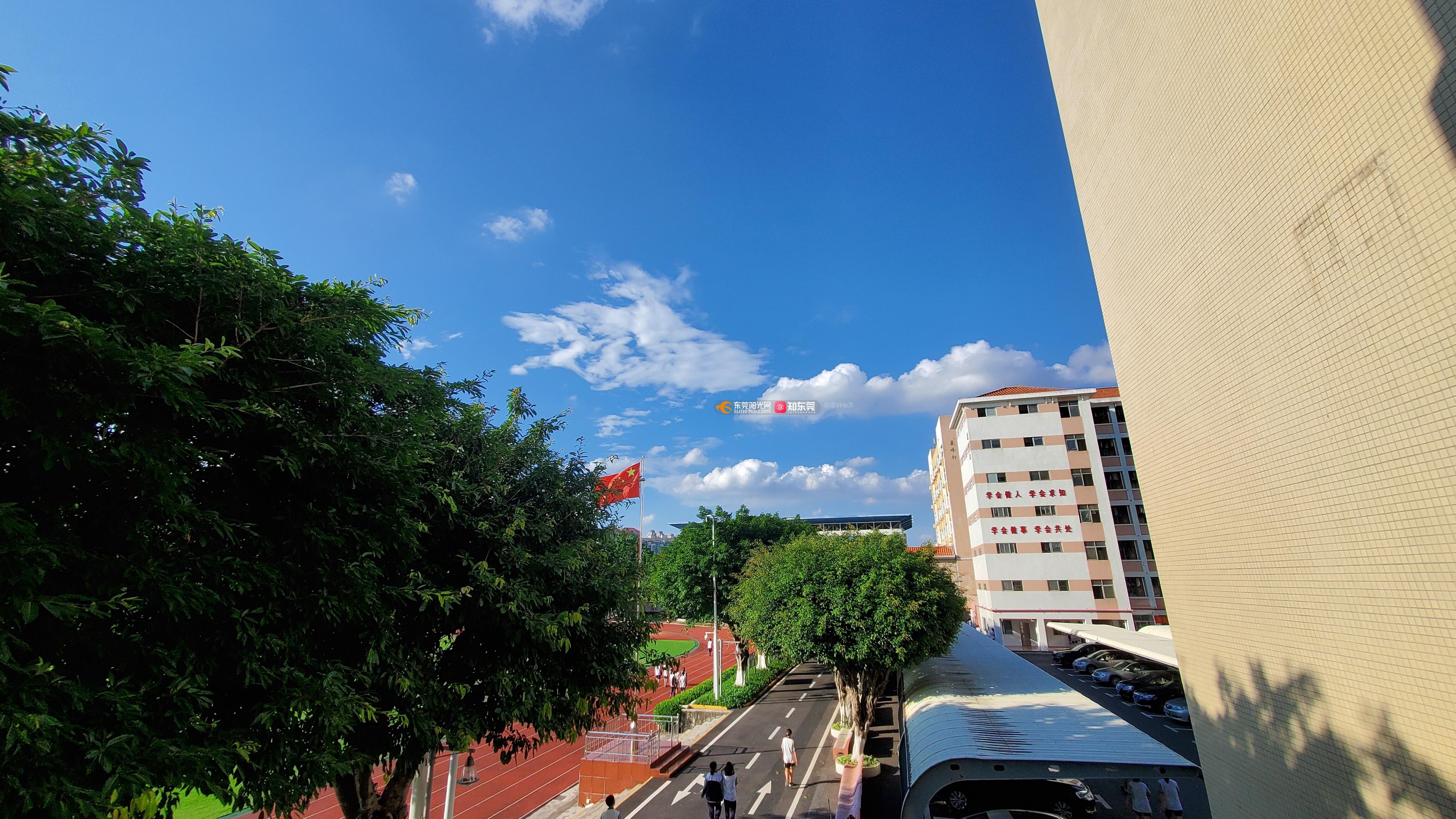 关于东莞二中及大部分城区留校问题