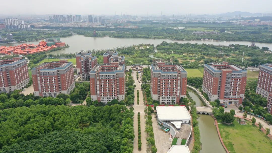 共克时艰麻涌与新华学院携手抗疫