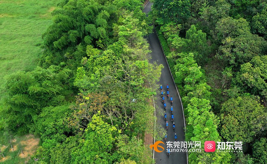 黄牛埔森林公园绿道骑行 追逐夏日最美风景线-知东莞