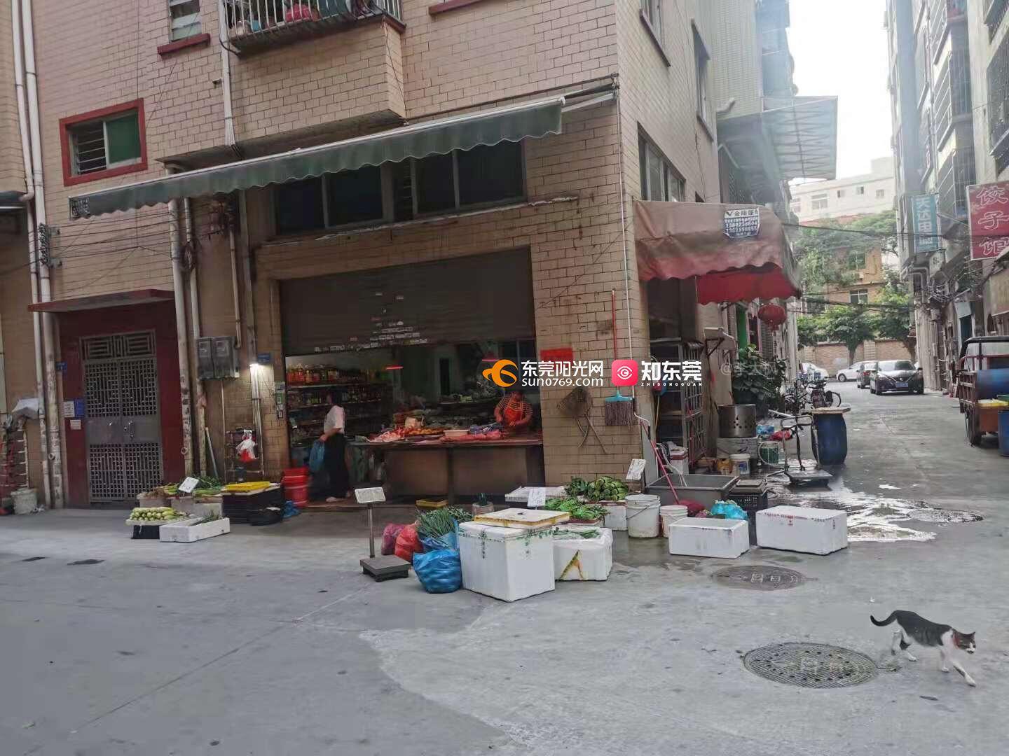 问政部门:虎门待处理官方回复正在等待官方处理