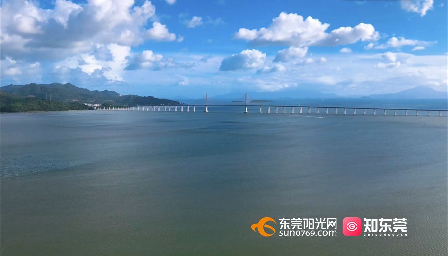 开车仅需1个多小时东莞周边竟然藏着一处迷人海滩