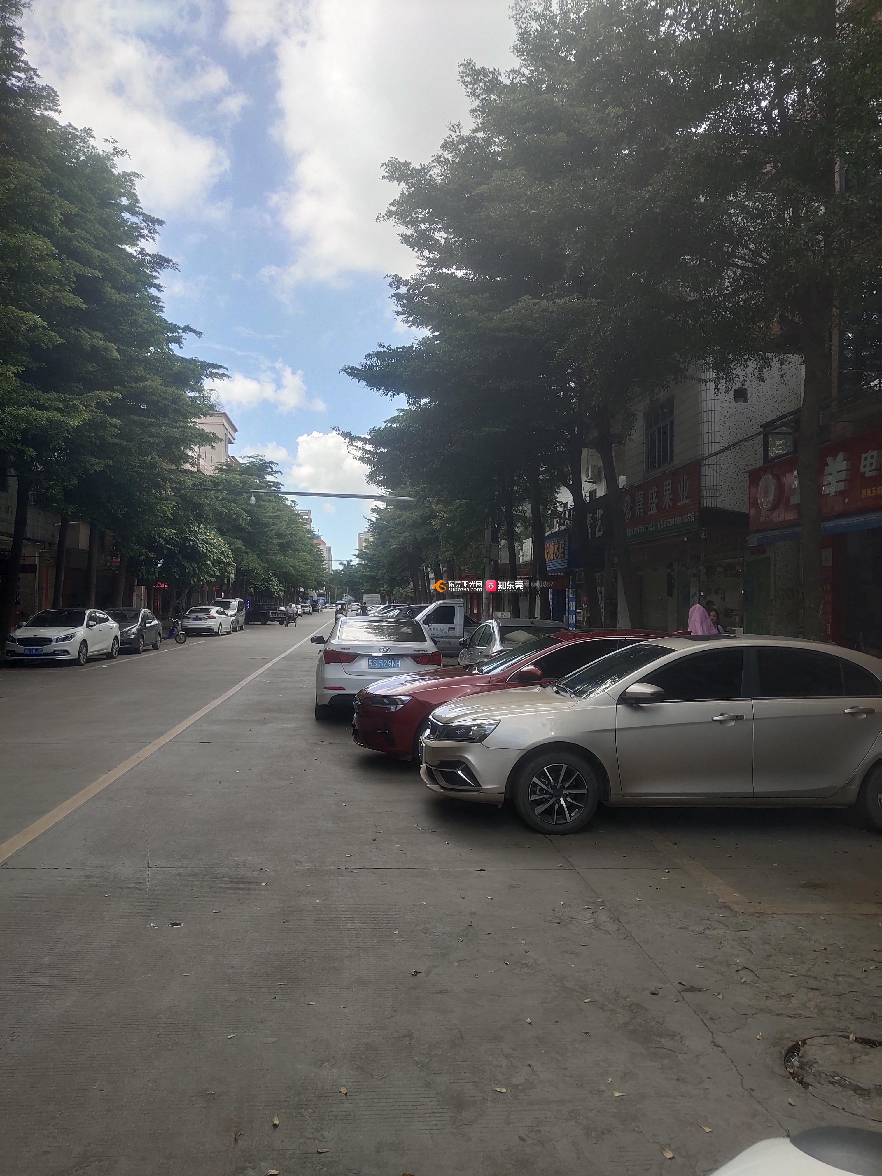 洪梅镇黎洲角村环萦路乱停乱放严重现象