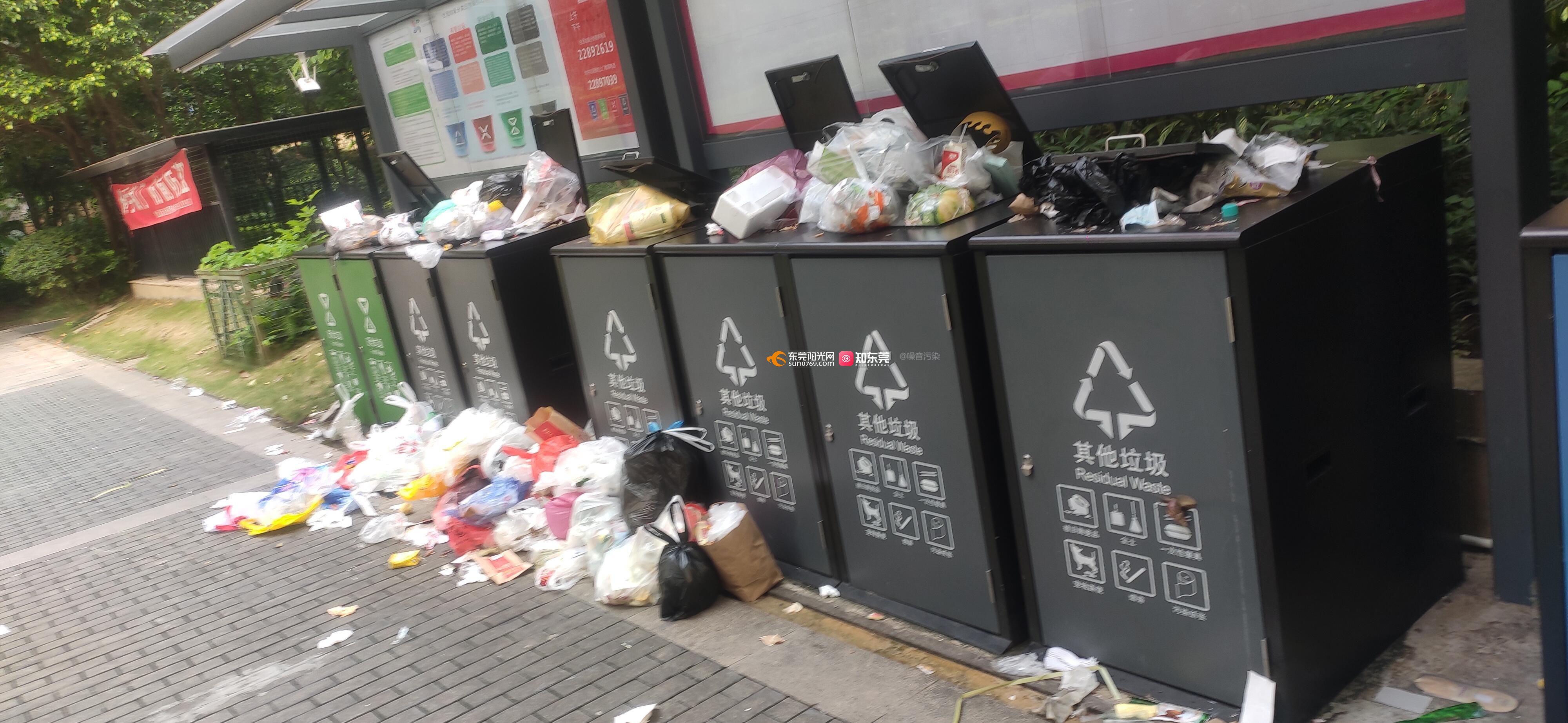不对,是垃圾桶分了类,其实我知道相关部门比谁都清楚垃圾分类的现状和