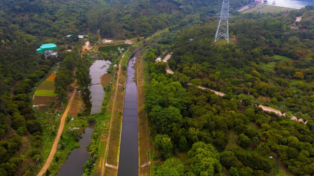 生态黄江秀美河湖实在是太写意了