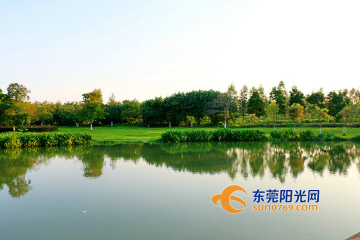 盛夏风光正好打卡东莞城市湿地公园