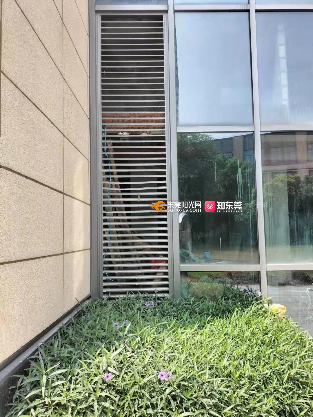 知东莞app-阳光问政