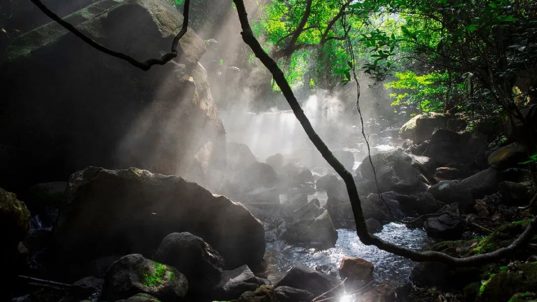 大岭山石洞森林公园图片