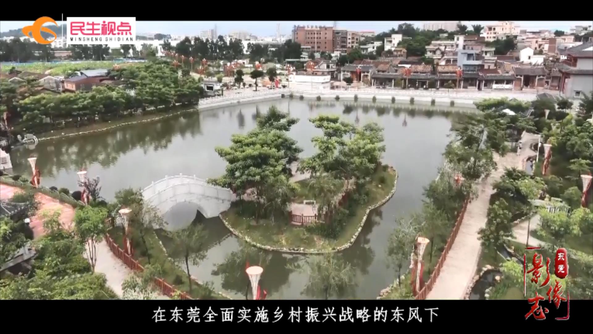 东莞影像志④丨千年古村新蜕变的茶山镇寒溪水村.