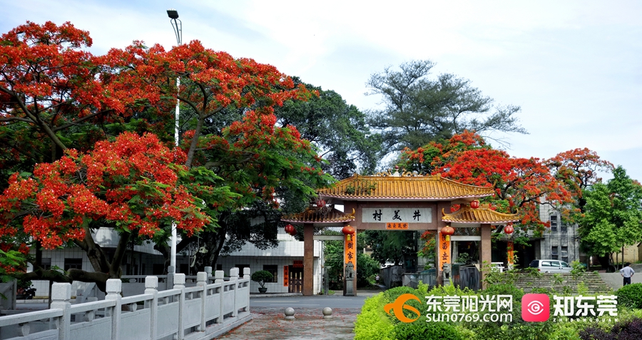 首届东莞十大美丽乡村名单出炉走一起去逛逛