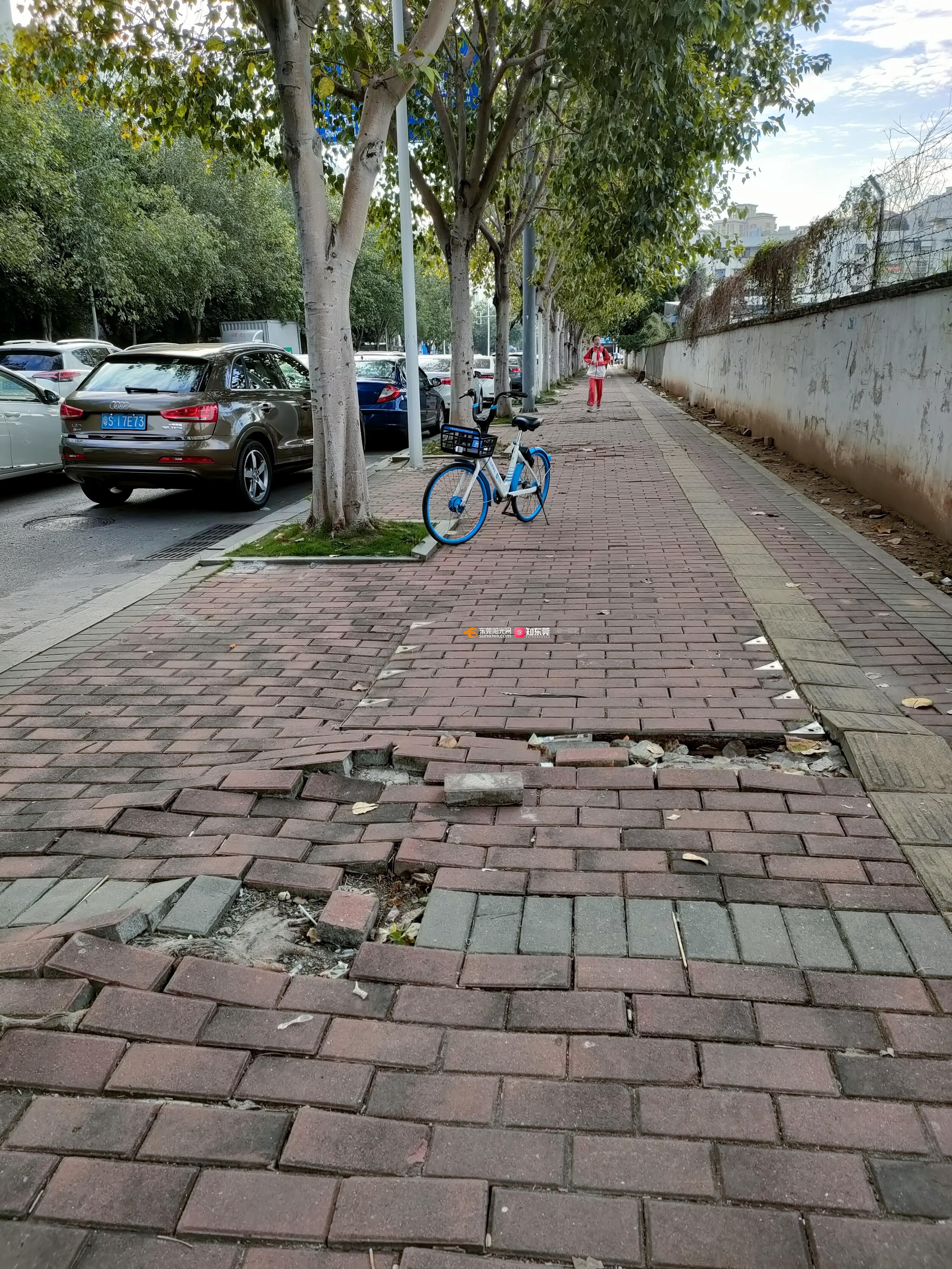 欧景城到万江实验小学的人行道破损
