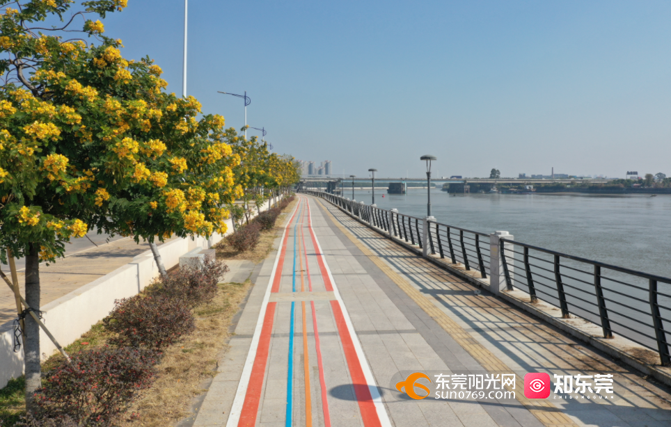 望牛墩建成28公里碧道打造水清岸绿宜居环境