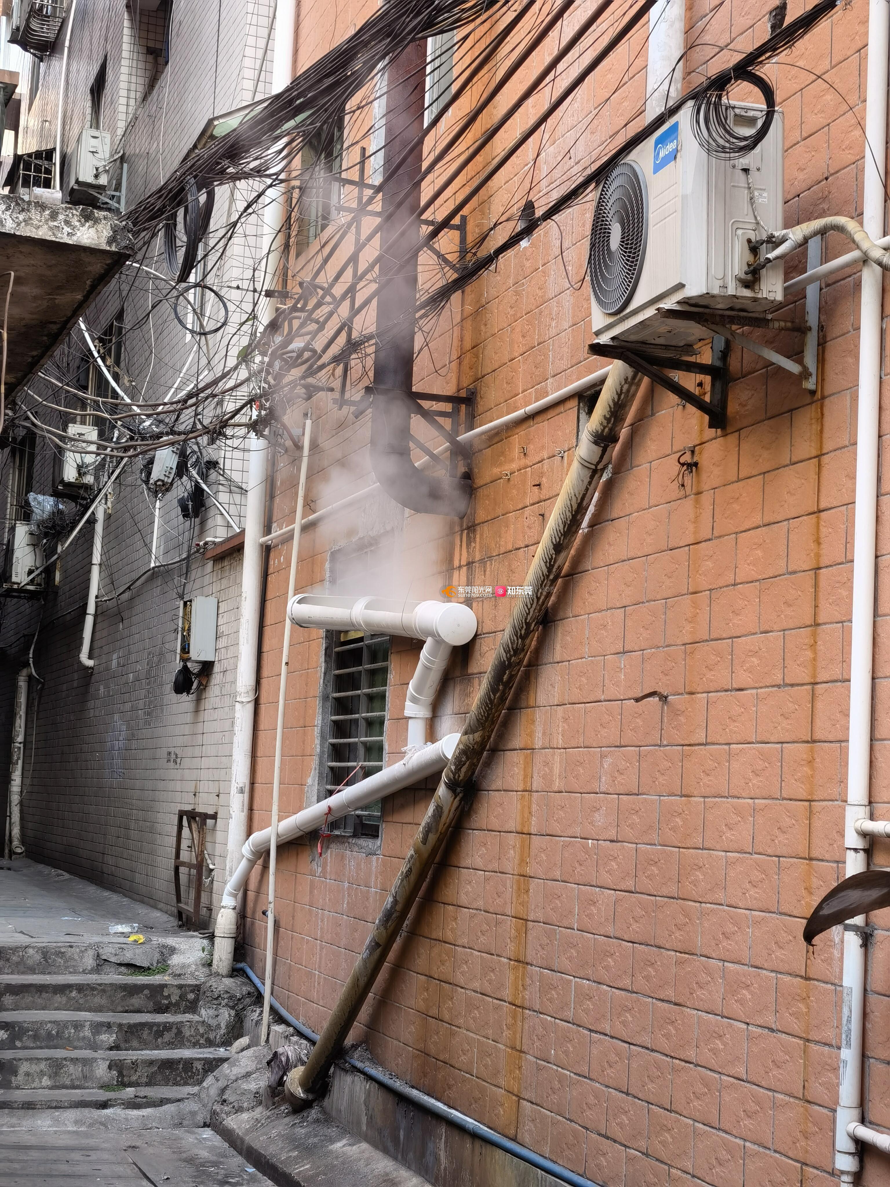 虎门镇博涌博美