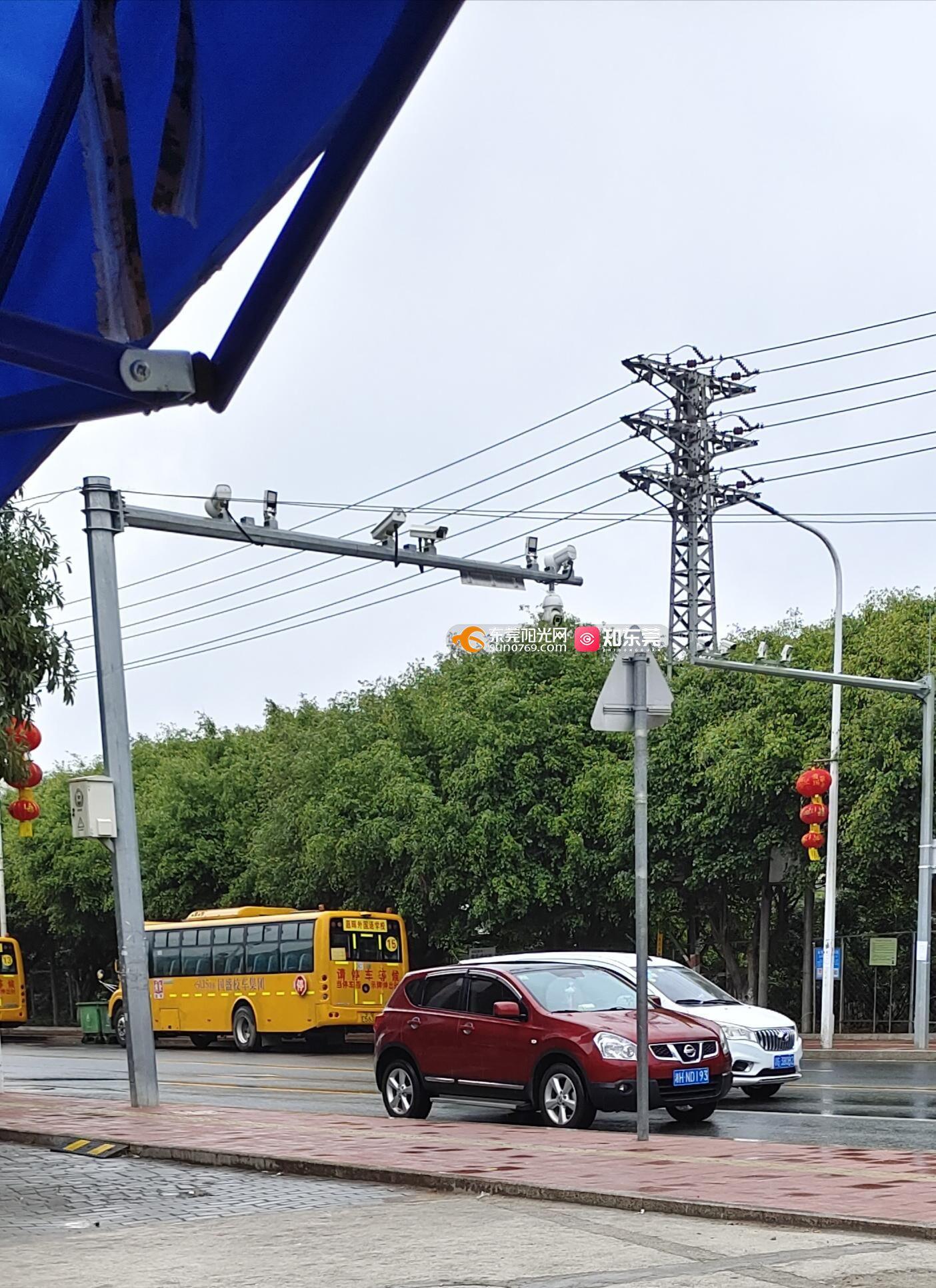 大岭山镇大环村大环路红绿灯无围栏