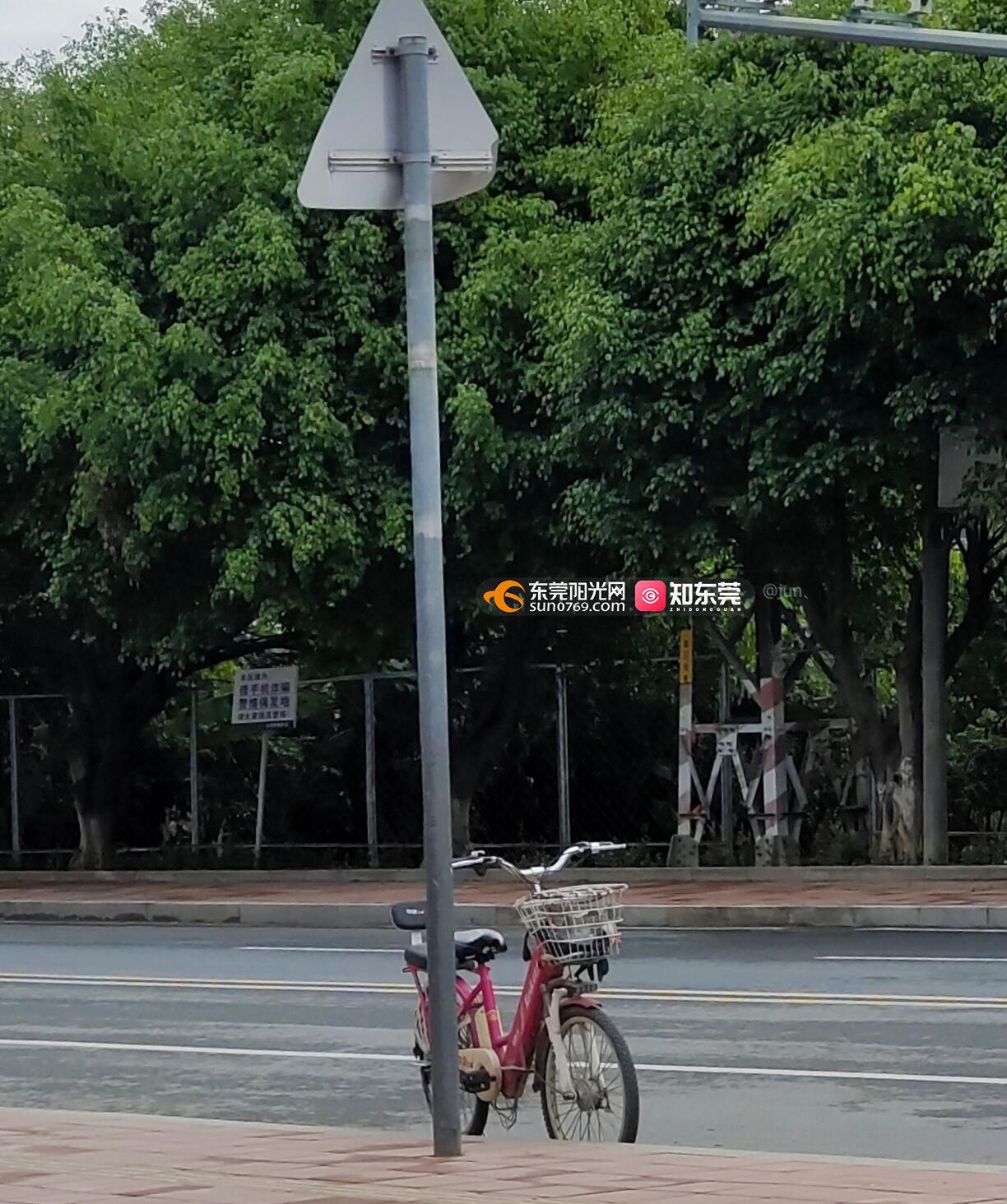 大岭山镇大环村大环路红绿灯无围栏