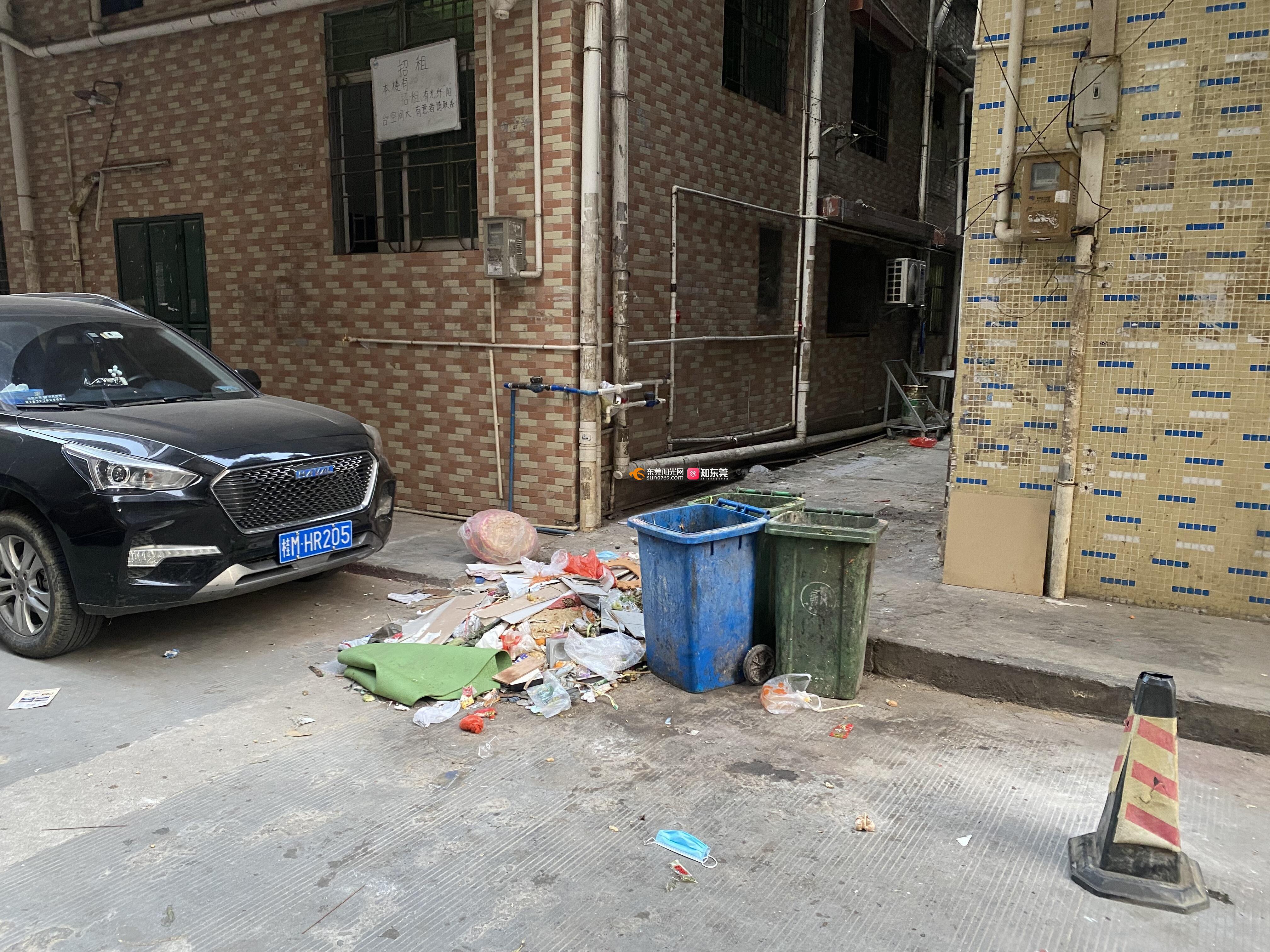 垃圾乱堆乱放多日无人清理