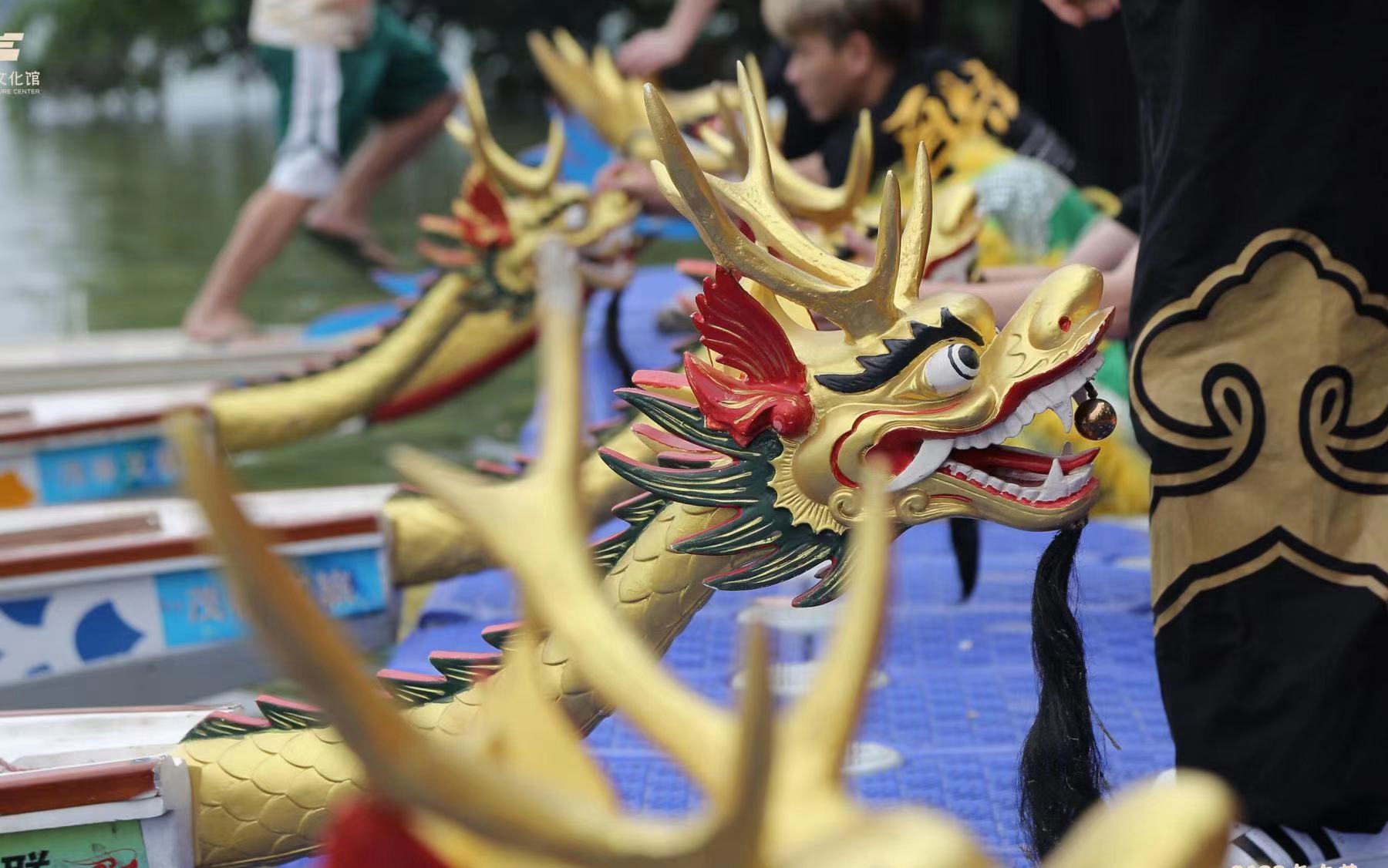 视频起龙啦东莞龙舟月正式开始还有这些活动等着你