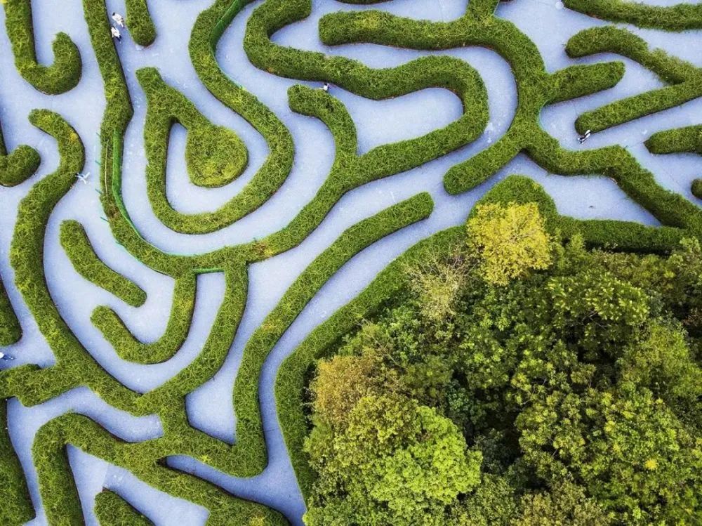 东莞有个植物迷宫,可以惬意地迷路!