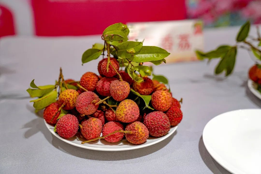 莞荔铜行东莞荔枝宣传推介活动在贵州铜仁举行