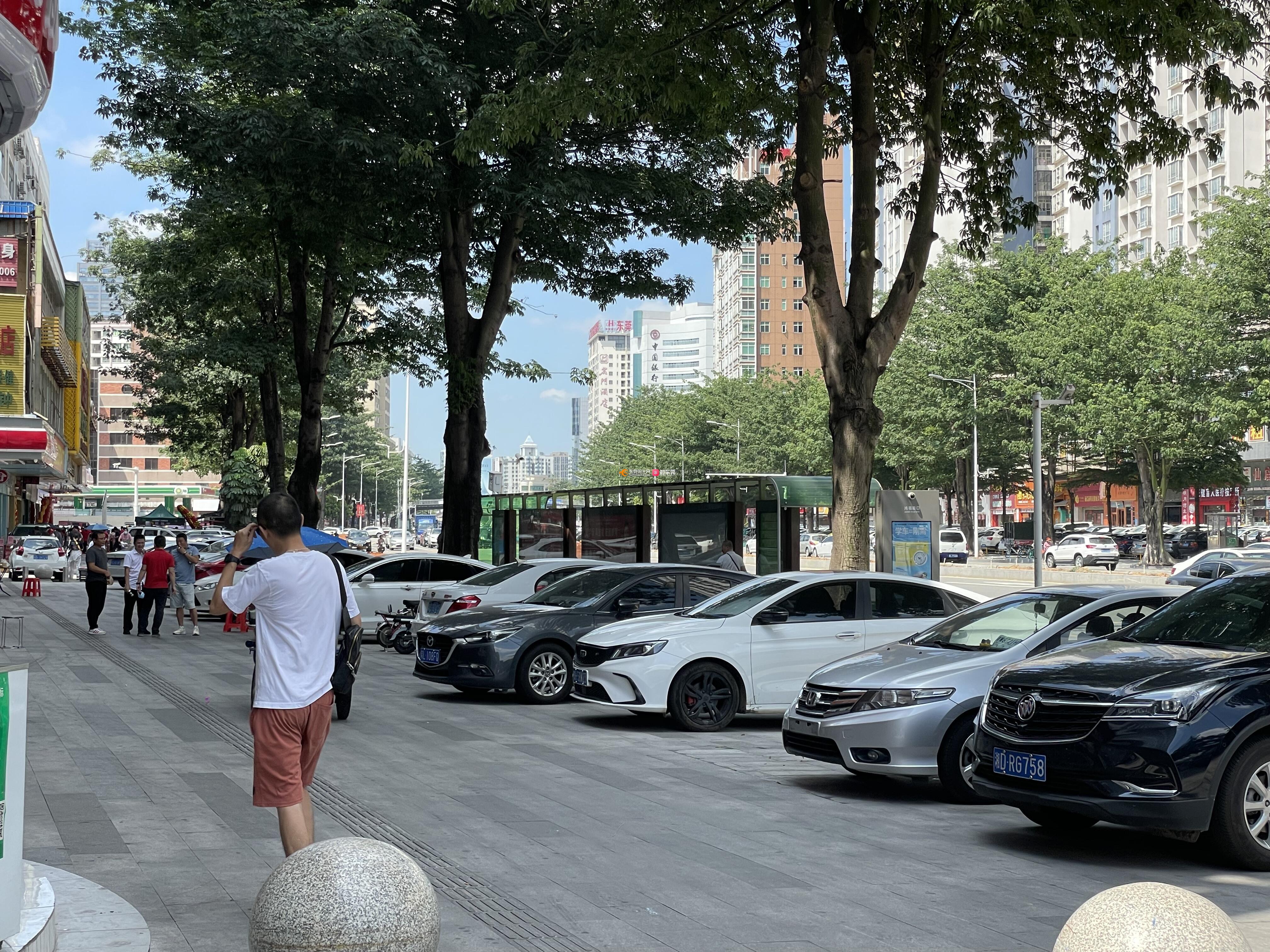 莞太路人行道,盲道乱车辆,愈演愈烈