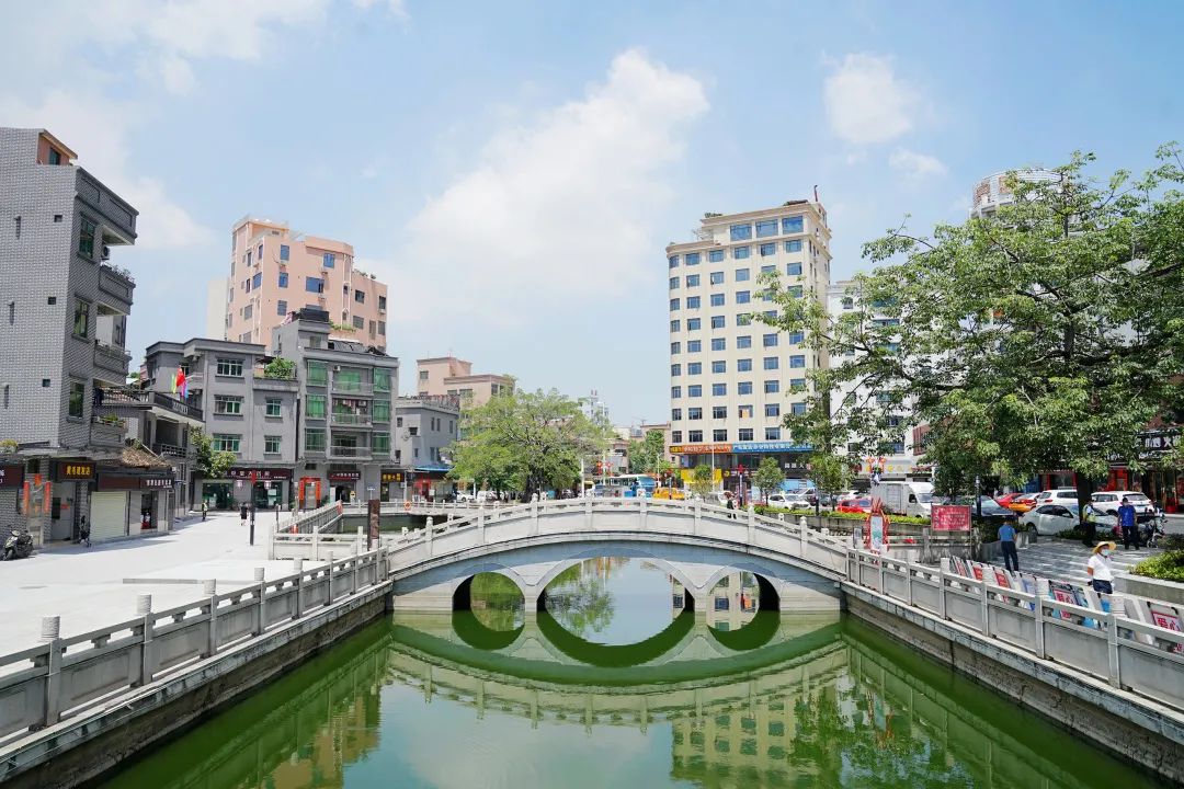 河田,你真好看|飞越厚街看发展